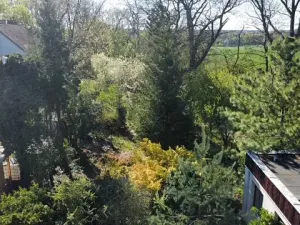Prodej pozemku pro bydlení, Mnichovo Hradiště, Nad Skalou, 962 m2