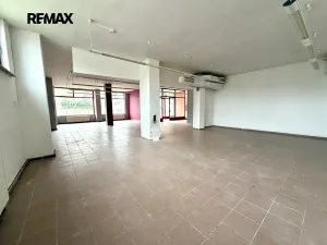Pronájem obchodního prostoru, Vyškov, Letní, 171 m2