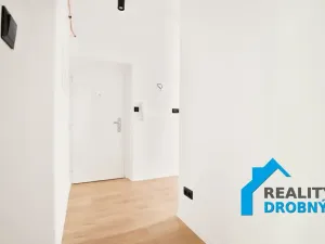 Prodej bytu 2+1, Děčín, Podmokelská, 53 m2