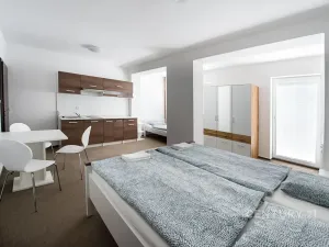 Prodej ubytování, Most, Pod Širokým vrchem, 312 m2