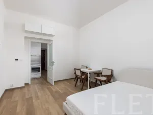 Pronájem bytu 1+kk, Praha - Žižkov, Milíčova, 29 m2