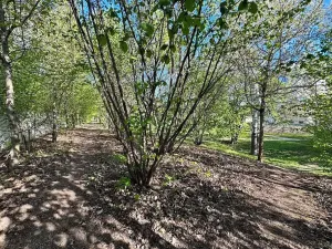 Pronájem bytu 3+kk, Brno, Řípská, 70 m2