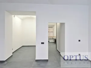 Pronájem obchodního prostoru, Praha - Josefov, Břehová, 54 m2