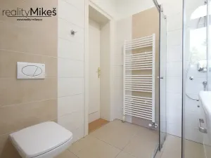 Pronájem bytu 2+kk, Liberec, Riegrova, 55 m2
