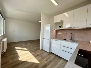 Pronájem bytu 3+1, Kladno, Na růžovém poli, 55 m2