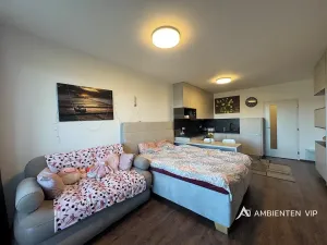 Pronájem bytu 1+kk, Brno, Reissigova, 36 m2
