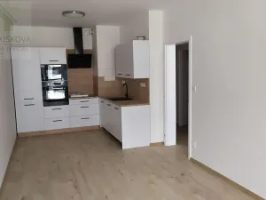 Pronájem bytu 2+kk, Ostrava, Hasičská, 44 m2