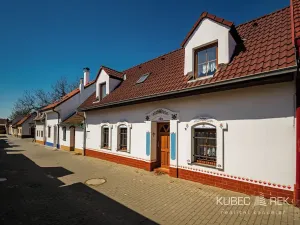 Prodej vinného sklepa, Prušánky, Nechory, 80 m2