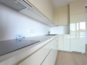 Pronájem bytu 4+kk, Poděbrady, Dr. Kryšpína, 114 m2