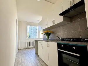 Pronájem bytu 4+1, Litvínov, Školní, 101 m2
