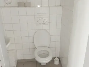 Pronájem obchodního prostoru, Brno, Palackého třída, 311 m2