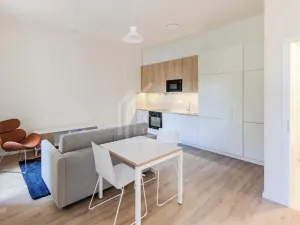 Pronájem bytu 1+kk, Praha - Bubeneč, Veletržní, 37 m2