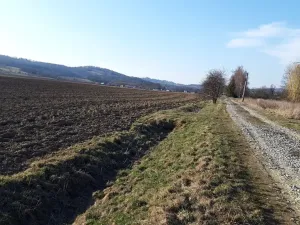 Prodej pozemku pro bydlení, Libina, 12500 m2