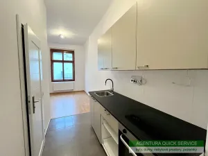 Pronájem bytu 1+1, Praha - Žižkov, Bořivojova, 47 m2