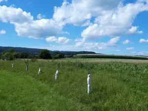 Prodej pozemku pro bydlení, Líšnice, 5077 m2
