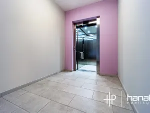 Pronájem bytu 2+kk, Olomouc, Dlouhá, 59 m2