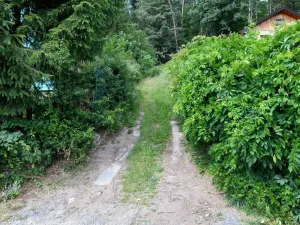 Pronájem zahrady, Stříbrná Skalice, 1015 m2