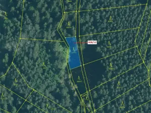 Dražba lesa, Hosty, 418 m2
