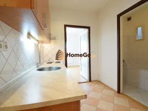 Pronájem bytu 1+1, Praha - Nusle, U gymnázia, 54 m2
