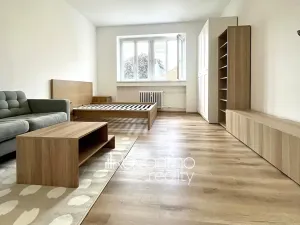 Pronájem bytu 1+1, Brno, bratří Čapků, 37 m2