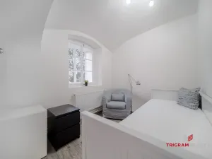 Pronájem bytu 1+kk, Hradec Králové, Dlouhá, 25 m2
