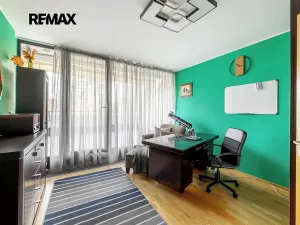 Pronájem bytu 5+kk, Praha - Žižkov, Pitterova, 254 m2