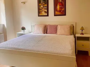 Pronájem bytu 2+1, Brno, Zeyerova, 76 m2
