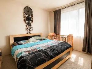 Prodej bytu 5+1, Vamberk, Struha, 87 m2
