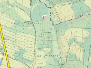 Dražba lesa, Česká Bělá, 10812 m2