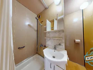 Pronájem bytu 1+1, Ostrava, Přemyslovců, 32 m2