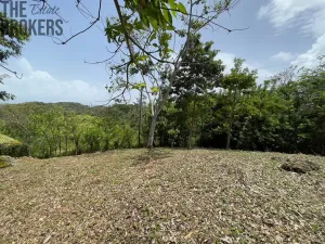 Prodej pozemku, Coxen Hole, Roatán, Honduras, 1884 m2