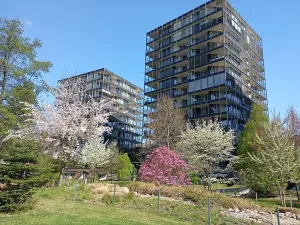Prodej bytu 2+kk, Praha - Žižkov, Ke kapslovně, 58 m2
