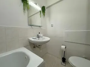 Pronájem bytu 1+1, Prostějov, Rejskova, 31 m2