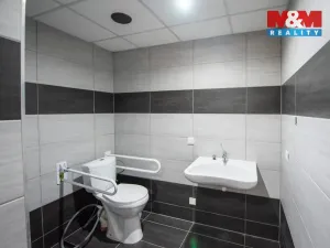 Pronájem bytu 1+kk, Hradec Králové, Sušilova, 32 m2
