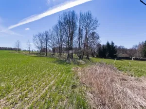 Prodej chalupy, Střížovice, 275 m2