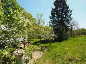 Prodej chaty, Pozořice, Oulehla, 27 m2