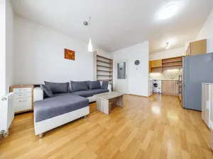 Prodej bytu 2+kk, Brno, Ke Statku, 45 m2