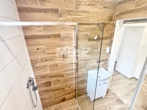 Pronájem bytu 1+1, Opava - Předměstí, Hany Kvapilové, 40 m2