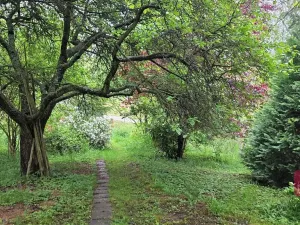 Prodej pozemku pro bydlení, Otaslavice, 2011 m2