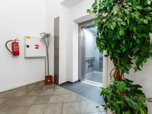 Prodej bytu 2+kk, Praha - Karlín, Peckova, 77 m2