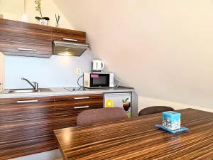 Prodej ubytování, Třinec, Husova, 360 m2