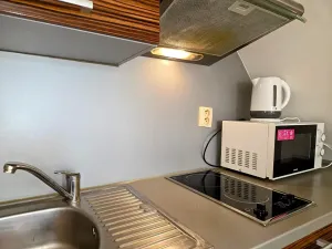 Prodej ubytování, Třinec, Husova, 360 m2