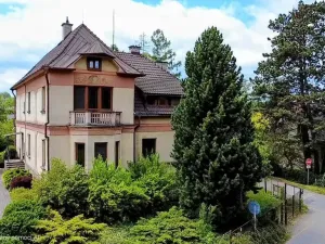 Prodej ubytování, Třinec, Husova, 360 m2