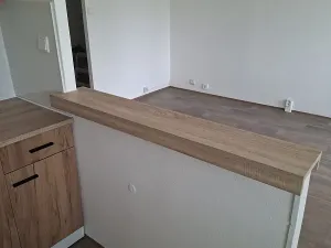 Pronájem bytu 3+1, Teplice, Bohosudovská, 55 m2