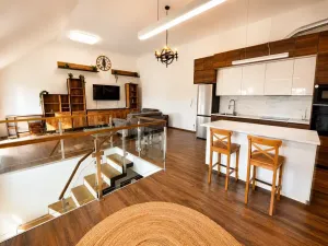 Pronájem bytu 4+kk, Brno, Křenová, 110 m2
