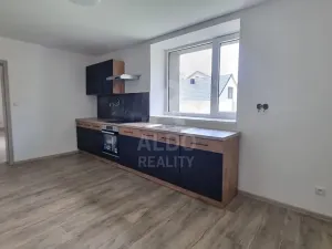Pronájem bytu 2+1, Srubec, 106 m2