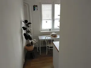 Pronájem bytu 1+1, Slaný, Plynárenská, 35 m2
