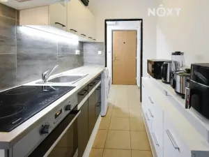 Prodej bytu 1+kk, Veselí nad Moravou, Chaloupky, 29 m2