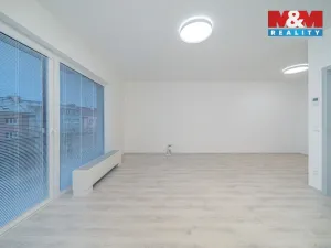 Pronájem bytu 1+kk, Olomouc, Wolkerova, 43 m2