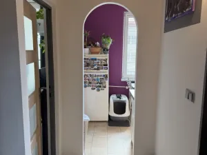 Pronájem bytu 1+1, Opočno, Krátká, 32 m2